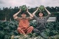 Đôi trẻ hóa thành nông dân trồng rau trong bộ ảnh cưới