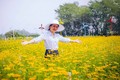Mê mẩn cánh đồng hoa đẹp "ảo diệu" ở ngoại ô Sài Gòn 