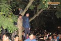 Đại biểu leo cây, trèo tường dự lễ khai ấn đền Trần