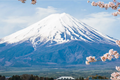 Thu phí leo núi Phú Sĩ để đảm bảo an toàn cho du khách