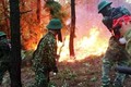 Cháy rừng thông trên núi Hồng Lĩnh: Bắt nghi can làm cháy rừng