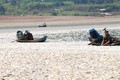 Đồng Nai: Hơn 200 tấn cá chết ở hồ Sông Mây gây ô nhiễm 