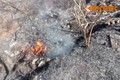 Rừng Sóc Sơn cháy kinh hoàng, huy động 1.700 người dập lửa