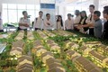 Bất động sản Hà Nội: Phân khúc đất nền vẫn còn "ngái ngủ"