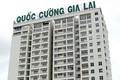 Quốc Cường Gia Lai dùng cổ phiếu của bà Như Loan làm gì ?