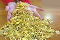 Đấu giá 150 kg vàng buôn lậu được định giá 82,5 tỉ đồng