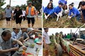 Hình ảnh ghi điểm của chính khách Việt năm 2016