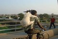 Hình ảnh hài hước ở châu Phi bạn chưa từng thấy