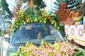 Mãn nhãn ngắm xe hoa mừng lễ Phật Đản 