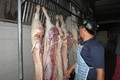 Giá thịt tăng đột biến sau vụ hơn 4.000 con heo nghi bị tiêm thuốc