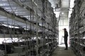 Các “mỏ” đào Bitcoin đang chuyển khỏi Trung Quốc