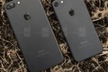 Apple bắt đầu bán iPhone 7 tân trang chỉ rẻ hơn hàng mới 50 USD