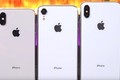 iPhone 2018 giá rẻ nhất chỉ 699 USD