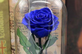 Bông hồng xanh giá 3,5 triệu: Chồng dám tặng vợ ngày Valentine?