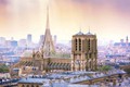 Đề xuất táo bạo xanh hóa Nhà thờ Đức Bà Paris