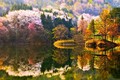 Mùa thu Hàn Quốc đẹp huyền ảo làm say lòng dân phượt