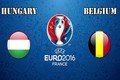 Euro 2016 Hungary - Bỉ: Thách thức với quỷ đỏ 