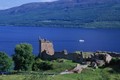 Video: Quái vật hồ Loch Ness tái xuất cùng gia đình?