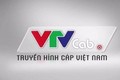 Dân mạng tưng bừng “bóc phốt” các dịch vụ của VTVcab
