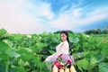 Nữ sinh Hải Phòng hóa tiên nữ chụp ảnh bên hồ sen gây sốt mạng