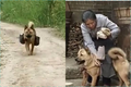 Xuất hiện chú chó "đáng đồng tiền bát gạo", netizen vỗ tay khen ngợi