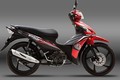 Việt Nam Suzuki nâng cấp Viva 115 FI giá từ 21,6 triệu 