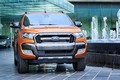 EcoSport, Ranger và Transit lập kỷ lục cho Ford Việt Nam