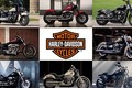 Xe môtô Harley-Davidson Softail 2018 lộ giá tại Việt Nam