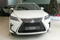 Cận cảnh Lexus RX300 hơn 3 tỷ đầu tiên về Việt Nam