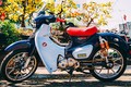 "Soi" Xe máy Honda Super Cub độ hơn 200 triệu tại Đồng Nai