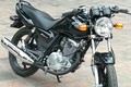 “Xế nổ” Suzuki EN 125 giá chưa đến 40 triệu tại Việt Nam