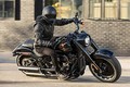 Harley-Davidson Fat Boy kỷ niệm 30 năm hơn 500 triệu đồng tại Mỹ 