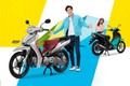 Yamaha Finn 2024 - xe máy số tiết kiệm xăng giá 33 triệu đồng