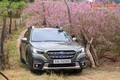 Subaru Outback tại Việt Nam - an toàn và vững bền cho người sử dụng