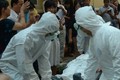 Bị phạt 20 triệu đồng vì tung tin “bệnh Ebola đến VN”