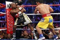 Video trận so găng lịch sử kịch tính giữa Mayweather và Pacquiao