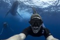 Mạo hiểm chụp ảnh cùng cá voi lưng gù khổng lồ