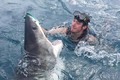 Thợ lặn mạo hiểm tóm mũi cá mập trắng lớn