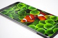 iPhone 8 OLED giá “chát chúa”, không dành cho người bình dân