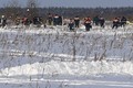 Tìm thấy hơn 200 mảnh thi thể tại khu vực máy bay rơi ở Nga