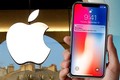 Apple quyết định sẽ không có iPhone 11