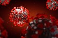Virus corona tiếp tục đột biến, đã có 8 biến thể trên toàn cầu