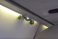 Khiếp vía những lần phát hiện rắn trên máy bay