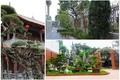 Đại gia Việt "chơi lớn", xây sân vườn bên trong biệt thự như tiên cảnh