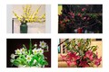 Ý nghĩa 10 loại hoa đẹp chưng trong nhà vào ngày Tết