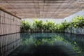 Biệt thự Sài Gòn phủ kín cây xanh giành giải kiến trúc quốc tế