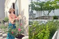 Mỏi mắt ngắm khu vườn ngập hoa trái trong nhà Hoa hậu Giáng Mỹ