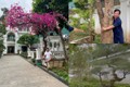 Vườn cây giá trị trong biệt thự tiền tỷ của nghệ sĩ Quang Tèo