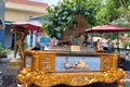 “Mê đắm” vườn mai vàng cổ thụ có 1-0-2 của đại gia Quảng Ninh