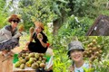 Xuýt xoa cây trái trĩu trịt trong vườn 600m2 của MC Cát Tường